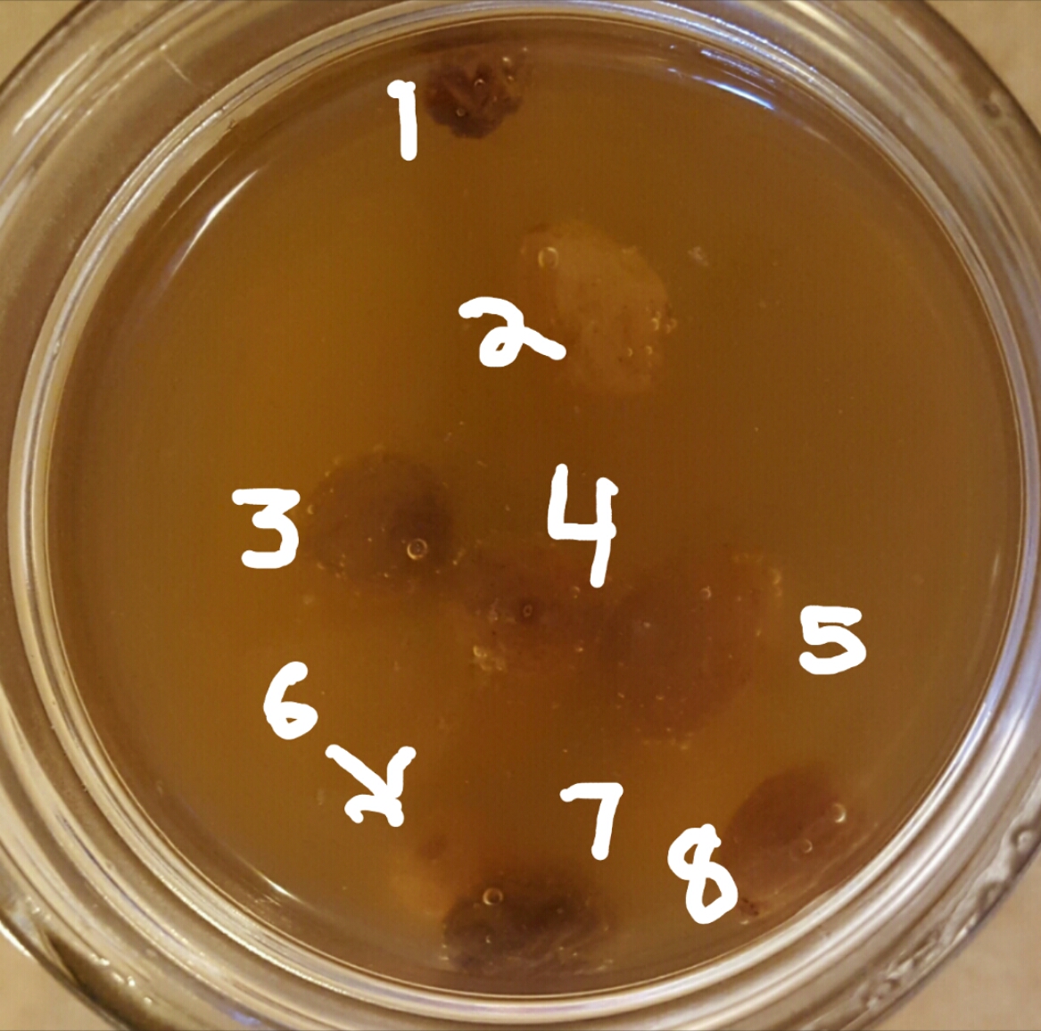 Raisin Yeast Water Day 3 (no Day 2) The Fresh Loaf